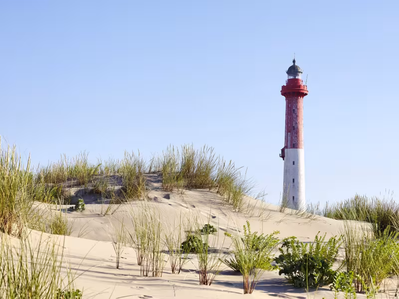 Le Phare de la Coubre - La Palmyre