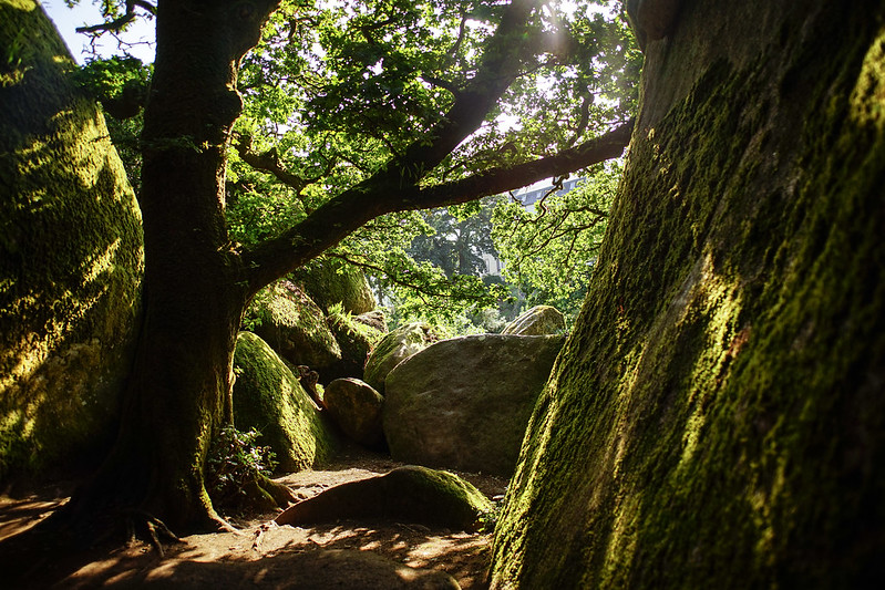 Forêt de Huelgoat