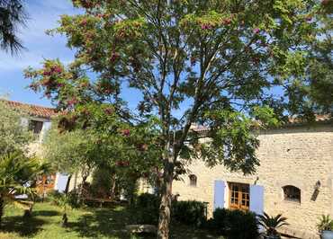 Bed and breakfast 12 people - L'Escale de Mortagne