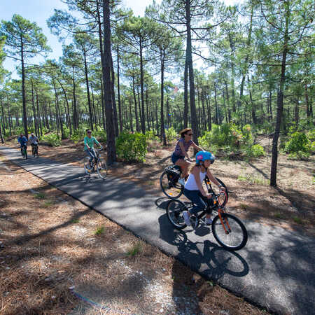 Forest cycle routes near sale me