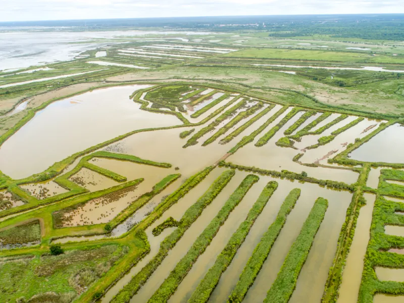 Le Teich_La vélodyssée