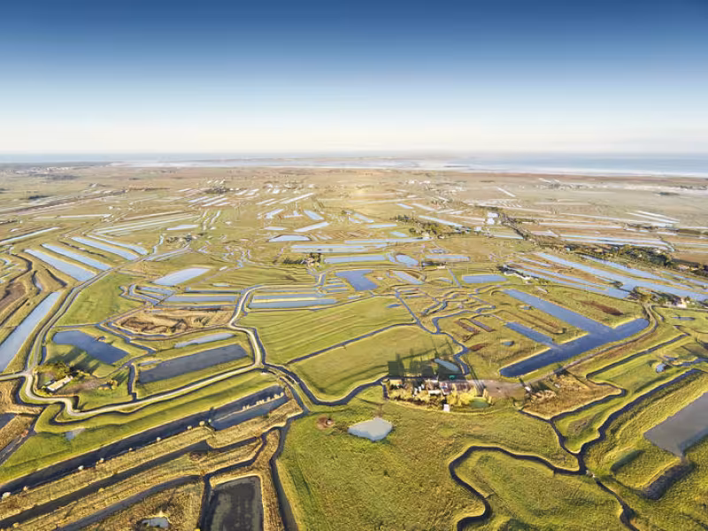 MARAIS BRETON_a.lamoureux_vendee_expansion
