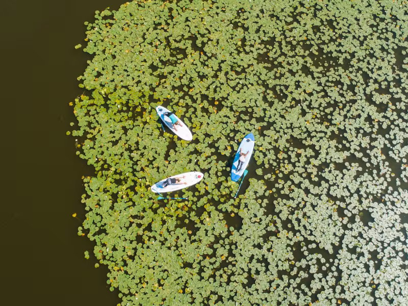 Etang de Soustons