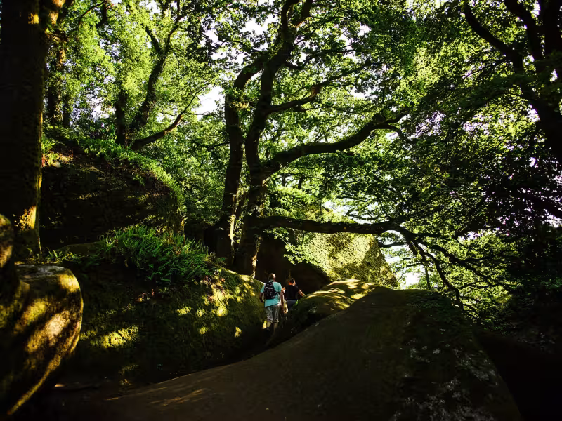 La forêt de Huelgoat en liaison