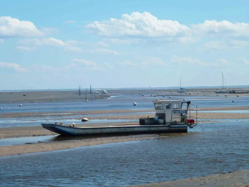 La côte atlantique à vélo : La Vélodyssée d'Arcachon à Hendaye
