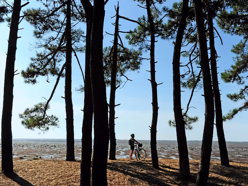 De La Rochelle à Arcachon : la côte Atlantique à vélo