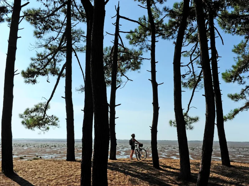 De La Rochelle à Arcachon : la côte Atlantique à vélo
