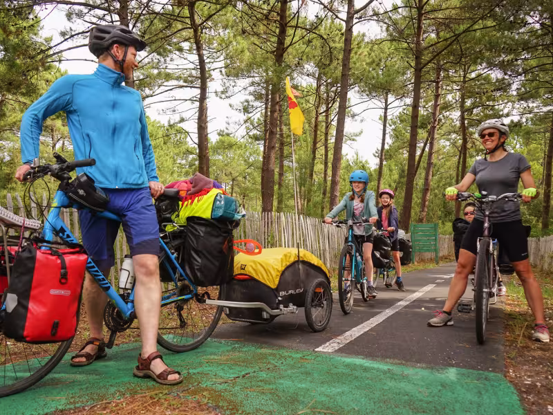 Piste cyclable en forêt