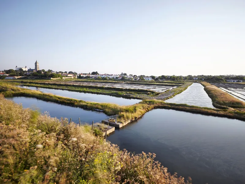 La Vélodyssée : de Nantes à La Rochelle