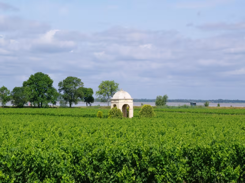 Les vignobles de Gironde à vélo