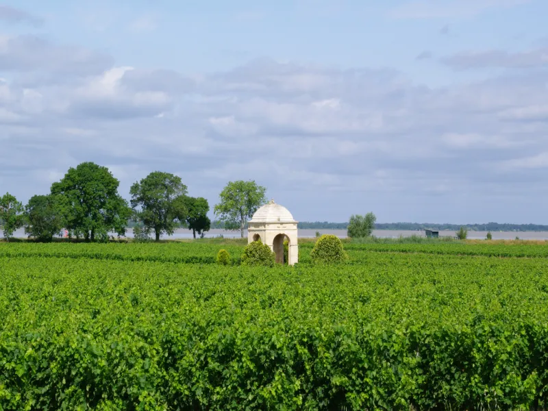 Les vignobles de Gironde à vélo
