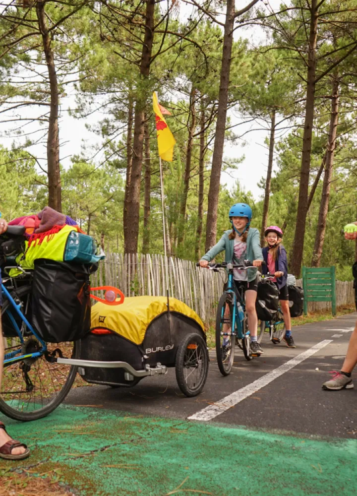 Piste de forêt en Gironde