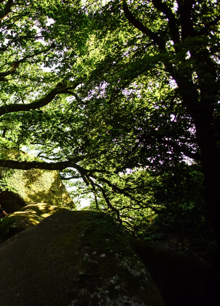 Forêt de Huelgoat