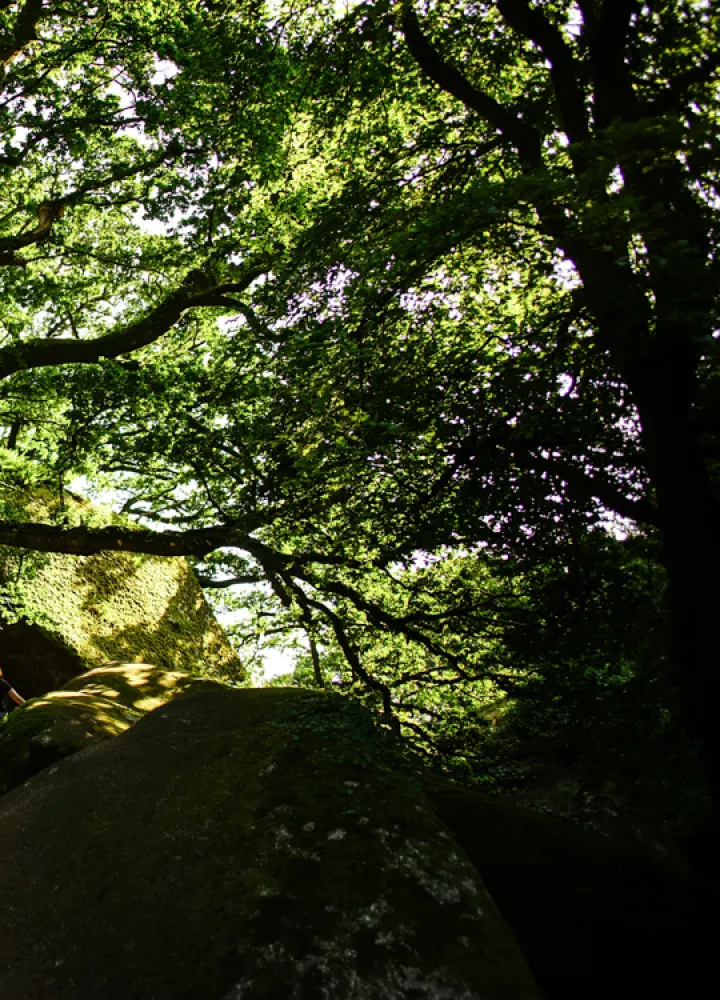 Forêt de Huelgoat