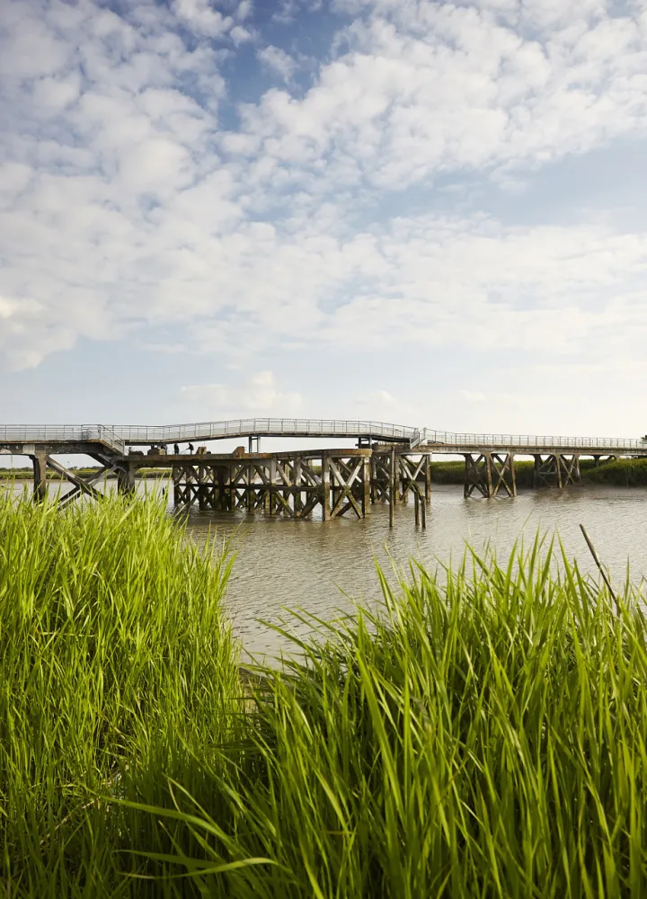 Pont en bois dans le Marais Poitevin à vélo