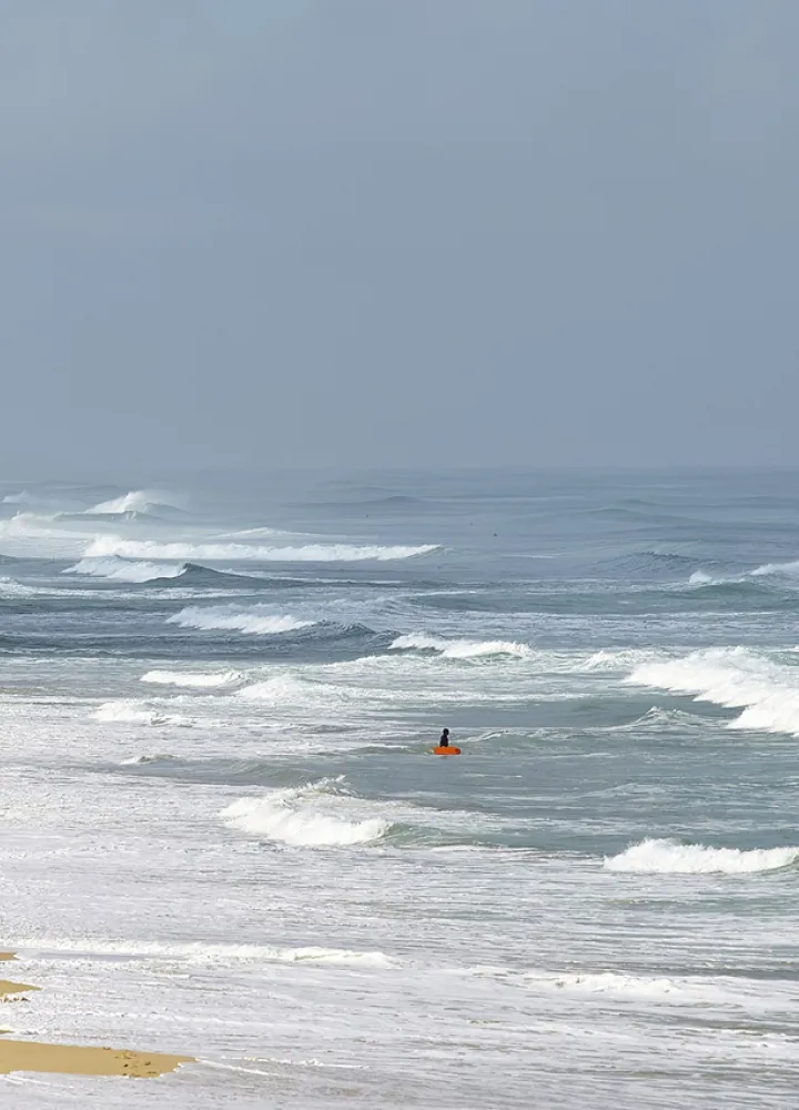 surf sur la velodyssee