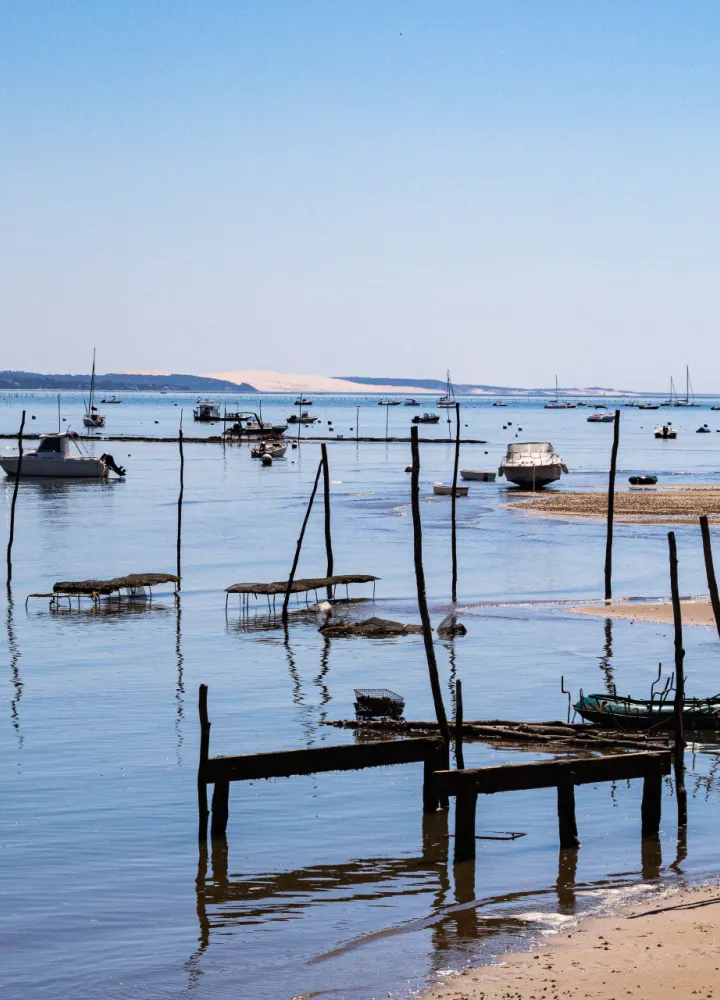 Unsplash - Tanja Cotoaga