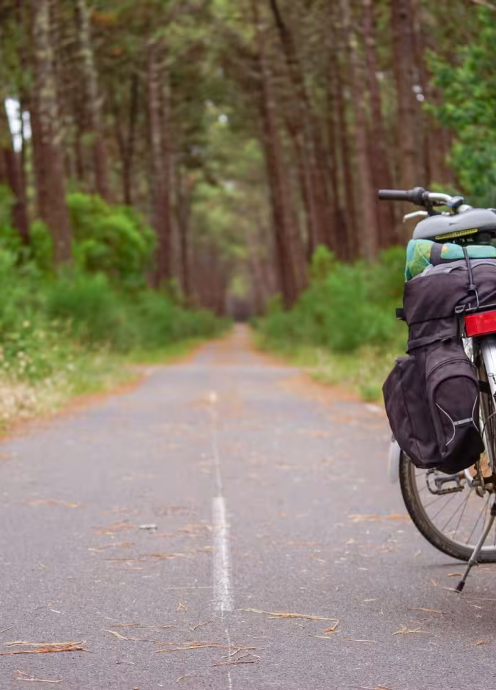 forêt des landes velodyssee