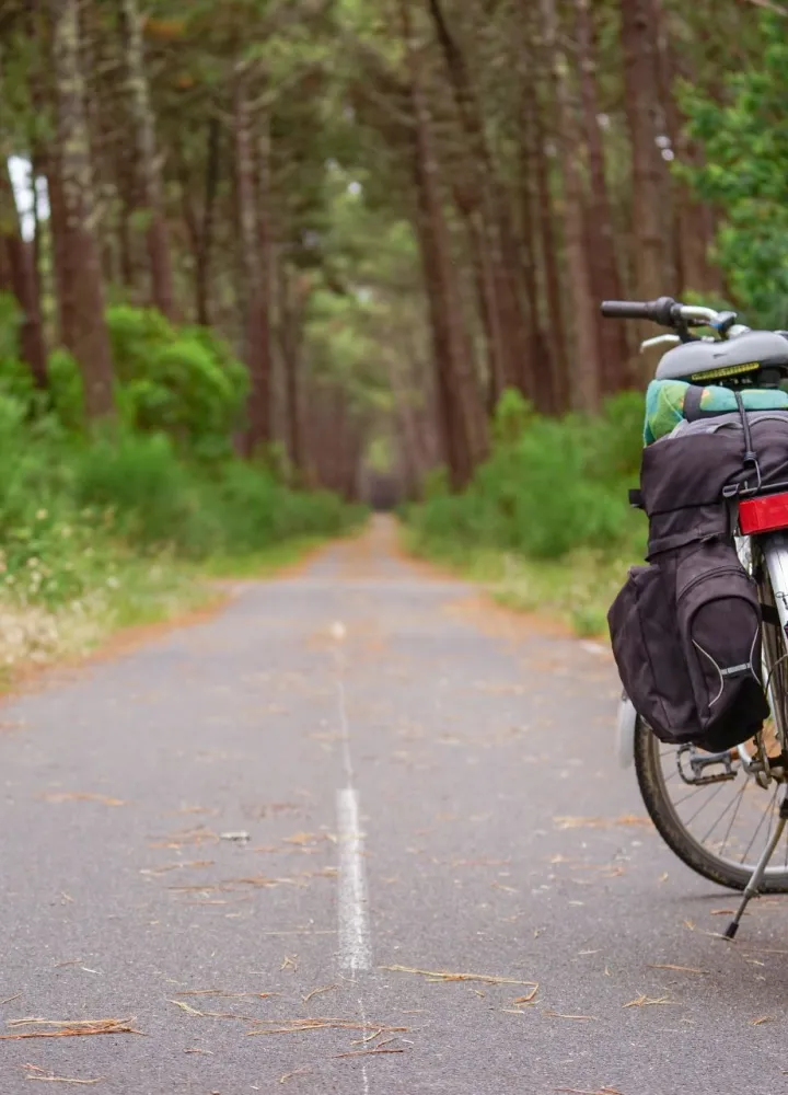 forêt des landes velodyssee