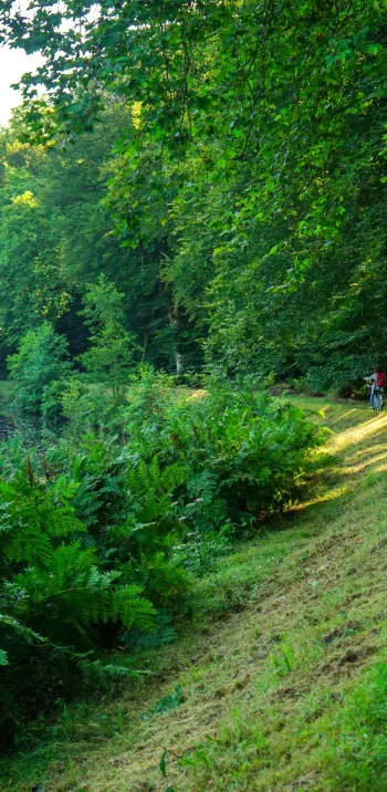 Day 5: Glomel > Gouarec 24 km