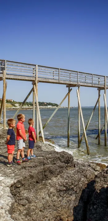 La Vélodyssée de Nantes à La Rochelle.jpg