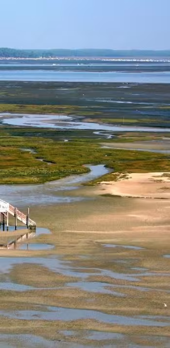 Arcachon bay bike tour-1 LIGHT - Evazio.jpg