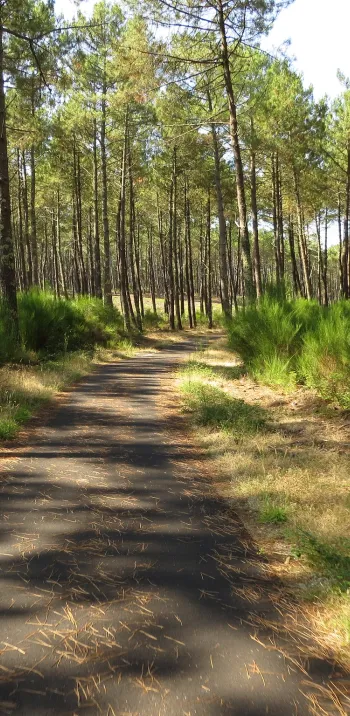 la rochelle-bordeaux_1.jpg