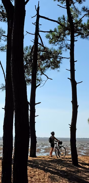 De La Rochelle à Arcachon : la côte Atlantique à vélo