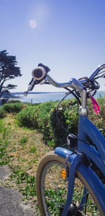A 30-km e-bike adventure on La Vélodyssée