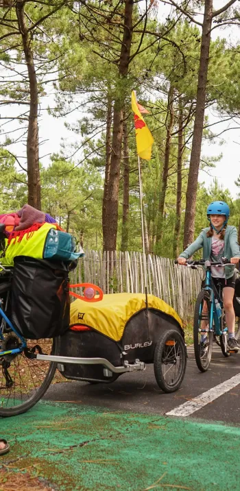 Piste cyclable en forêt