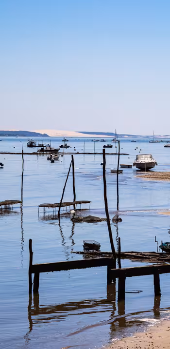 La Vélodyssée: 42 km of cycling on the Bay of Arcachon