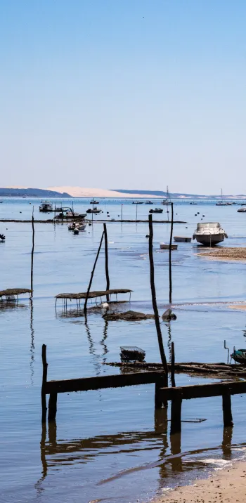 La Vélodyssée: 42 km of cycling on the Bay of Arcachon