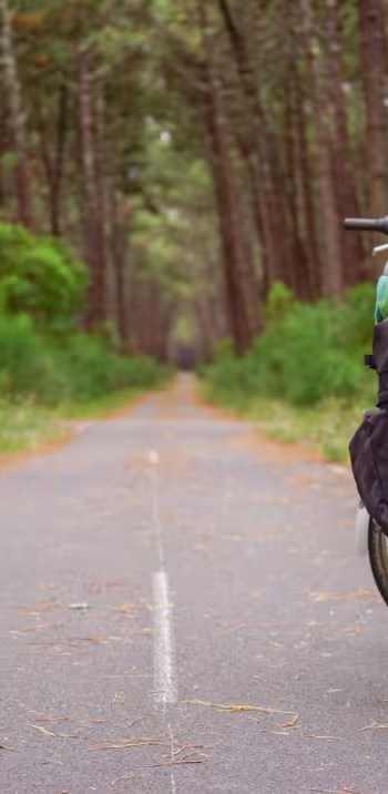 Forêt des Landes_essentiels_voyage_vélo