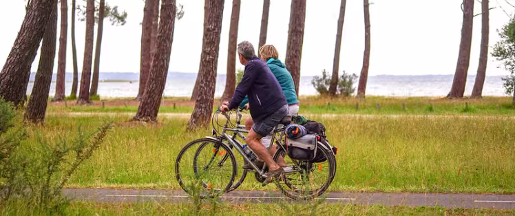 48957794916_7cd78f7ae1_c.jpg