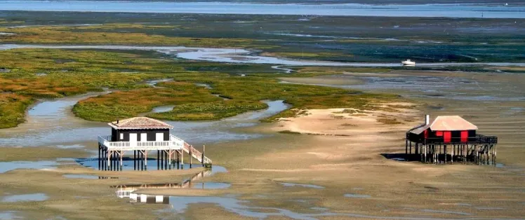 Arcachon bay bike tour-1 LIGHT - Evazio.jpg