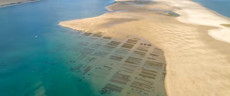Dune du Pilat