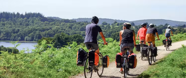 50247472228_f12acdaa0a_o.jpg