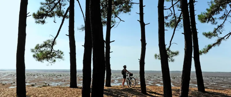 De La Rochelle à Arcachon : la côte Atlantique à vélo