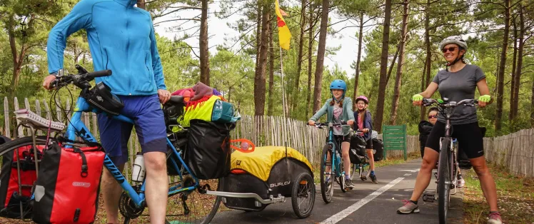 Piste cyclable en forêt