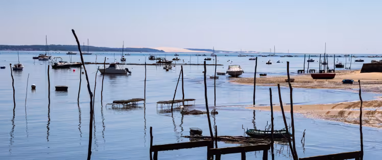 La Vélodyssée: 42 km of cycling on the Bay of Arcachon