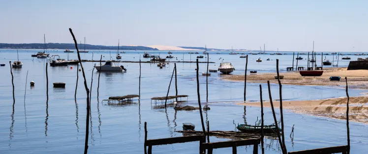 La Vélodyssée: 42 km of cycling on the Bay of Arcachon