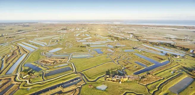 Panoramas Loop 