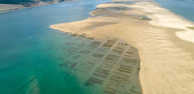 Arcachon / Biscarrosse-plage