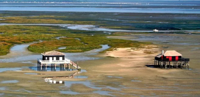 Tour du bassin d’Arcachon à vélo – Vélodyssée