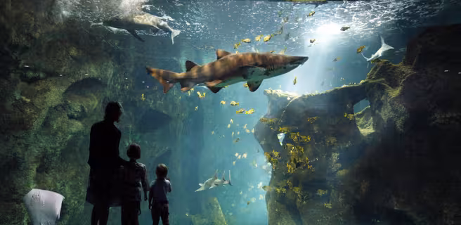 Un parent et deux enfants regarde "L'amphitéatre des requins": un gigantesque aquarium avec des requins, une raie, des poissons.