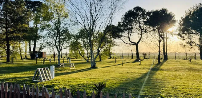 Aire naturelle de camping Les Grands Chênes et Les Ajoncs