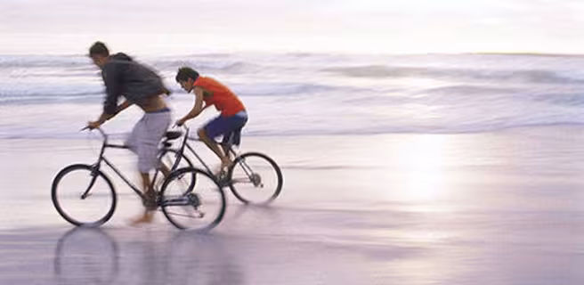 Ericycles