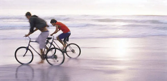Ericycles