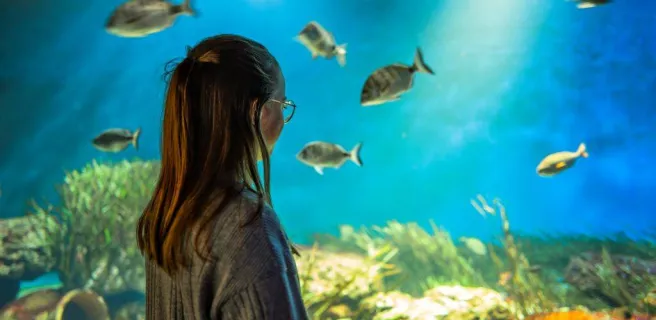 Aquarium de Vendée