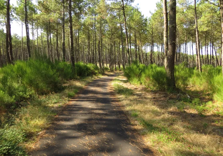 Cap Vélo_La Rochelle-Bordeaux_La Vélodyssée